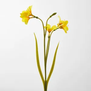 Daffodil Spray 50cm Yellow by JMC FLORALS, a Plants for sale on Style Sourcebook