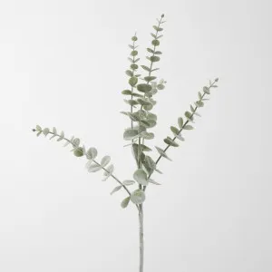Eucalyptus Flocked Spray 74cm Grey by JMC FLORALS, a Plants for sale on Style Sourcebook