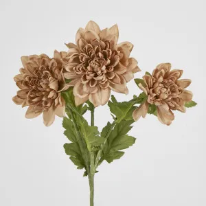 Chrysanthemum Spray x 3 Brown by JMC FLORALS, a Plants for sale on Style Sourcebook