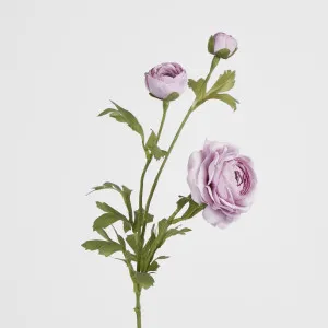 Ranunculus Spray x 3 Purple by JMC FLORALS, a Plants for sale on Style Sourcebook
