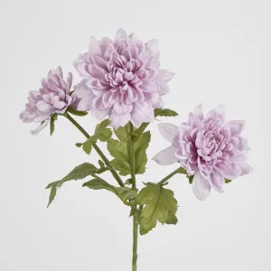 Chrysanthemum Spray x 3 Purple by JMC FLORALS, a Plants for sale on Style Sourcebook