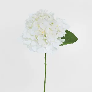 Hydrangea 47cm White by JMC FLORALS, a Plants for sale on Style Sourcebook