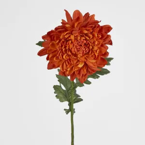 Chrysanthemum 76cm Orange by JMC FLORALS, a Plants for sale on Style Sourcebook