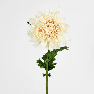 Chrysanthemum 76cm Cream by JMC FLORALS, a Plants for sale on Style Sourcebook