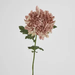 Chrysanthemum 76cm Purple by JMC FLORALS, a Plants for sale on Style Sourcebook