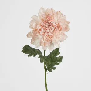Chrysanthemum 76cm Light Pink by JMC FLORALS, a Plants for sale on Style Sourcebook
