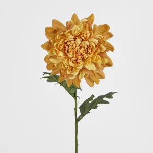 Chrysanthemum 76cm Yellow by JMC FLORALS, a Plants for sale on Style Sourcebook