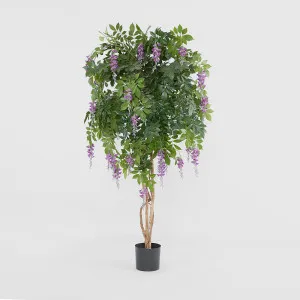 Wisteria Tree Purple 1.9m by TREE CREATIONS, a Plants for sale on Style Sourcebook
