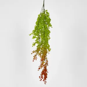 Hanging Eucalyptus Green Red by JMC FLORALS, a Plants for sale on Style Sourcebook