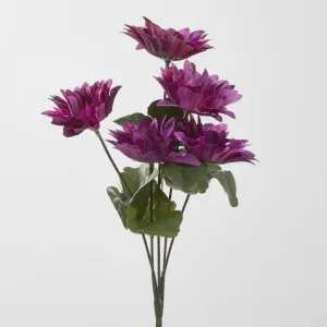 Gerbera Bush Dark Box of 60 by JMC FLORALS, a Plants for sale on Style Sourcebook