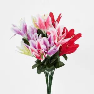 Tiger Lily Bush Asstd Colours Box of 60 by JMC FLORALS, a Plants for sale on Style Sourcebook