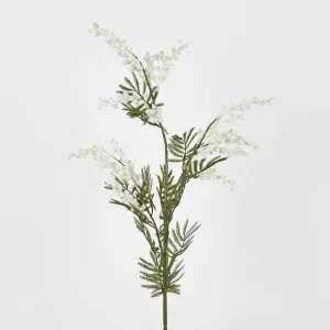 Australian Wattle 85cm White by JMC FLORALS, a Plants for sale on Style Sourcebook