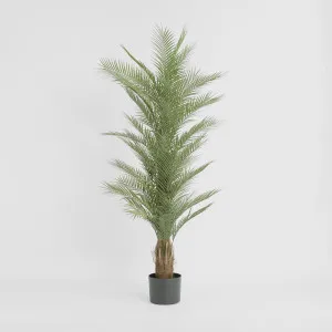Real Touch Palm Tree by TREE CREATIONS, a Plants for sale on Style Sourcebook