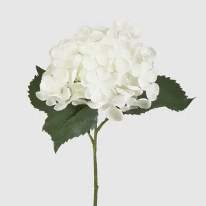 Hydrangea 62cm White by JMC FLORALS, a Plants for sale on Style Sourcebook