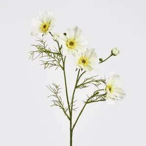 Cosmos Spray 64cm White by JMC FLORALS, a Plants for sale on Style Sourcebook