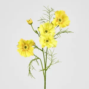 Cosmos Spray 64cm Yellow by JMC FLORALS, a Plants for sale on Style Sourcebook