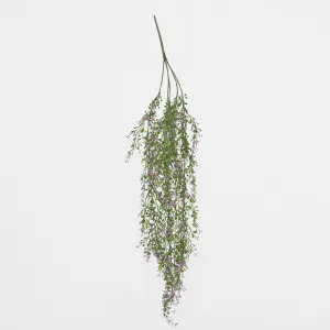 Boxwood Hanging Vine x 5 with Purple Berries by JMC FLORALS, a Plants for sale on Style Sourcebook