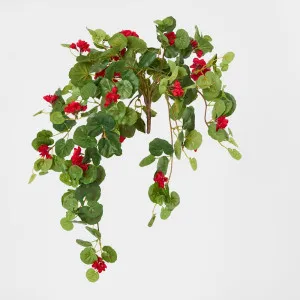 Red Hanging Geranium Bush x 9 by JMC FLORALS, a Plants for sale on Style Sourcebook