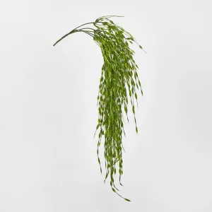 Willow Vine Hanging 65cm by JMC FLORALS, a Plants for sale on Style Sourcebook