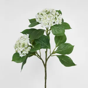Hydrangea with Leaves 90cm White by Florabelle Living, a Plants for sale on Style Sourcebook