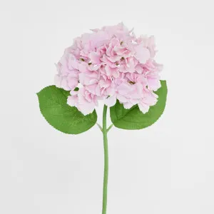 Hydrangea Stem Soft Touch 50cm Mid Pink by Florabelle Living, a Plants for sale on Style Sourcebook