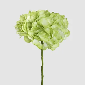Soft Touch Hydrangea Flower Stem 75cm Green by Florabelle Living, a Plants for sale on Style Sourcebook