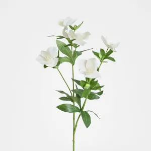 Helleborus Flower Spray 72cm White by Florabelle Living, a Plants for sale on Style Sourcebook