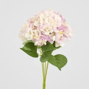 Yasmin Hydrangea Bunch Pink by Florabelle Living, a Plants for sale on Style Sourcebook