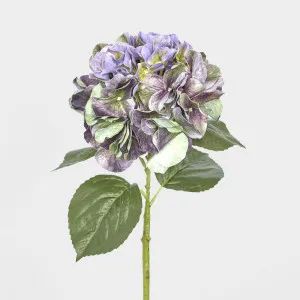 Real Touch Hydrangea 64cm Purple by Florabelle Living, a Plants for sale on Style Sourcebook