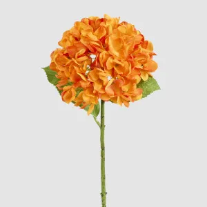 Hydrangea Flower Stem 48cm Orange by Florabelle Living, a Plants for sale on Style Sourcebook