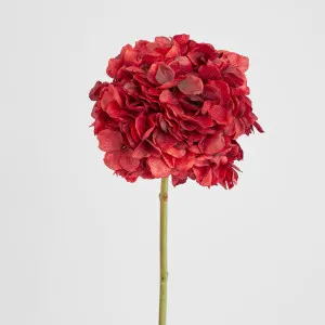 Hydrangea Flower Stem 48cm Burgundy by Florabelle Living, a Plants for sale on Style Sourcebook