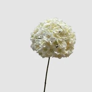 Hydrangea White 74cm by Florabelle Living, a Plants for sale on Style Sourcebook