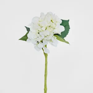 Hydrangea Water 49cm White by Florabelle Living, a Plants for sale on Style Sourcebook