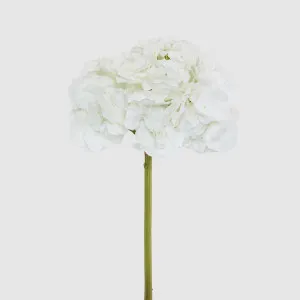 Hydrangea 50cm Snow White by Florabelle Living, a Plants for sale on Style Sourcebook