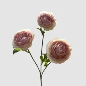Ranunculus Pink 60cm by Florabelle Living, a Plants for sale on Style Sourcebook