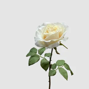 Rose Spray White 53cm by Florabelle Living, a Plants for sale on Style Sourcebook