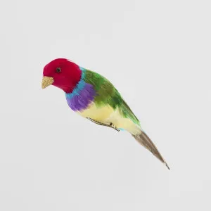 Red Headed Finch by Vixen & Velvet, a Christmas for sale on Style Sourcebook