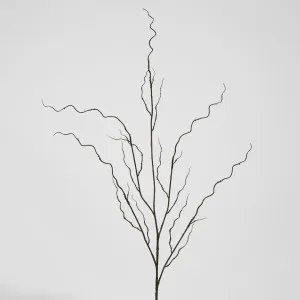 Curly Twig by Florabelle Living, a Plants for sale on Style Sourcebook