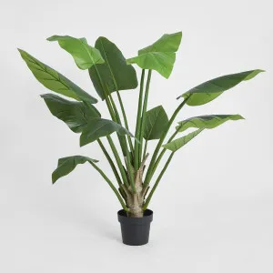Philo Tree Real Touch 1.4m by TREE CREATIONS, a Plants for sale on Style Sourcebook