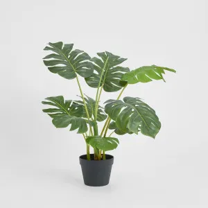 Monstera Tree Real Touch 85cm by TREE CREATIONS, a Plants for sale on Style Sourcebook