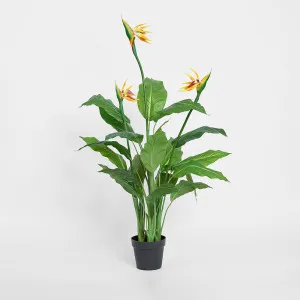 Flowering Bird of Paradise 150cm by TREE CREATIONS, a Plants for sale on Style Sourcebook