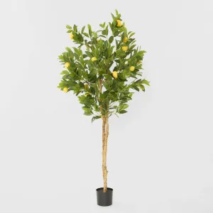 Lemon Tree Real Trunk 170cm by TREE CREATIONS, a Plants for sale on Style Sourcebook