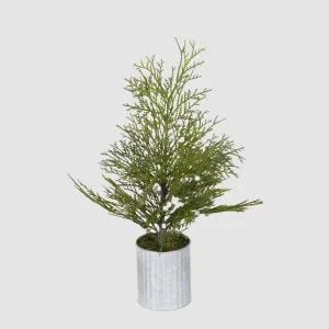 Mini Pine Tree Red Berries with Tin Pot by Vixen & Velvet, a Christmas for sale on Style Sourcebook