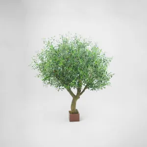 Olive Tree With 12648 Leaves & 150 Fruits 180cm by TREE CREATIONS, a Plants for sale on Style Sourcebook