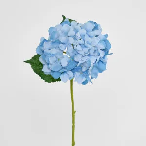 Hydrangea Stem 62cm Light Blue by Florabelle Living, a Plants for sale on Style Sourcebook