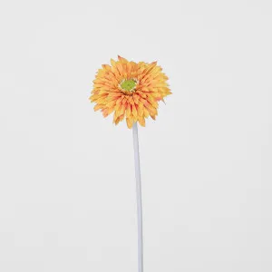 Gerbera Stem Orange by JMC FLORALS, a Plants for sale on Style Sourcebook