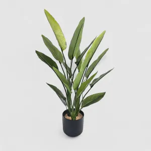 Strelitzia Real Touch 80cm by TREE CREATIONS, a Plants for sale on Style Sourcebook