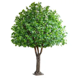 Giant Maple Tree 5.7m by TREE CREATIONS, a Plants for sale on Style Sourcebook
