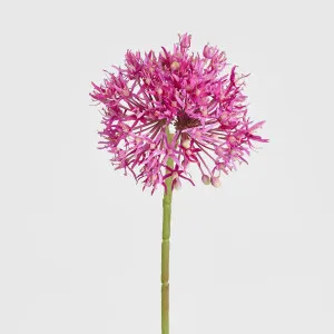 Allium Flower Stem 74cm Fuchsia by Florabelle Living, a Plants for sale on Style Sourcebook