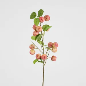 Wild Crab Apple Stem Red by Florabelle Living, a Plants for sale on Style Sourcebook